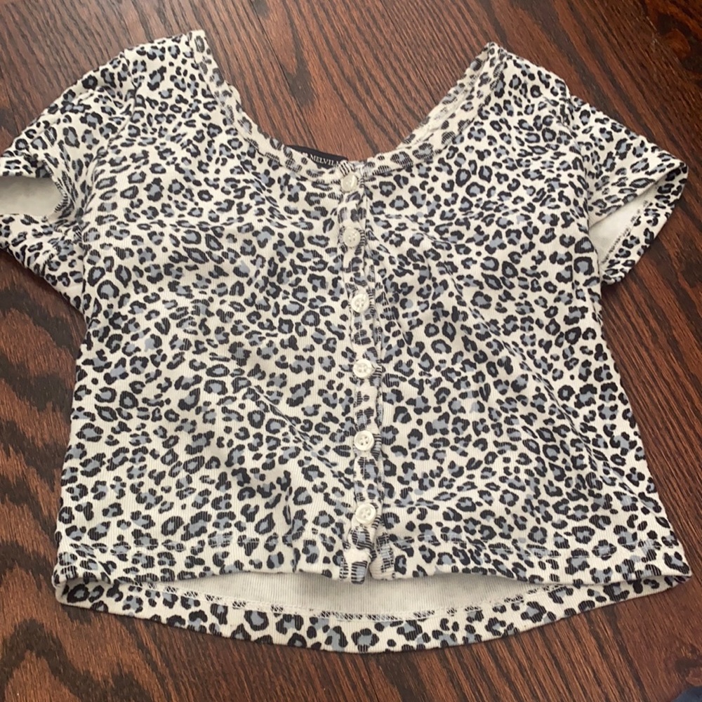 BRANDY MELVILLE CHEETAH PRINT CROP TOP